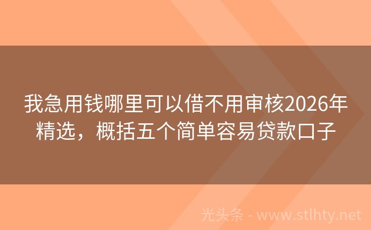 我急用钱哪里可以借不用审核2026年精选，概括五个简单容易贷款口子