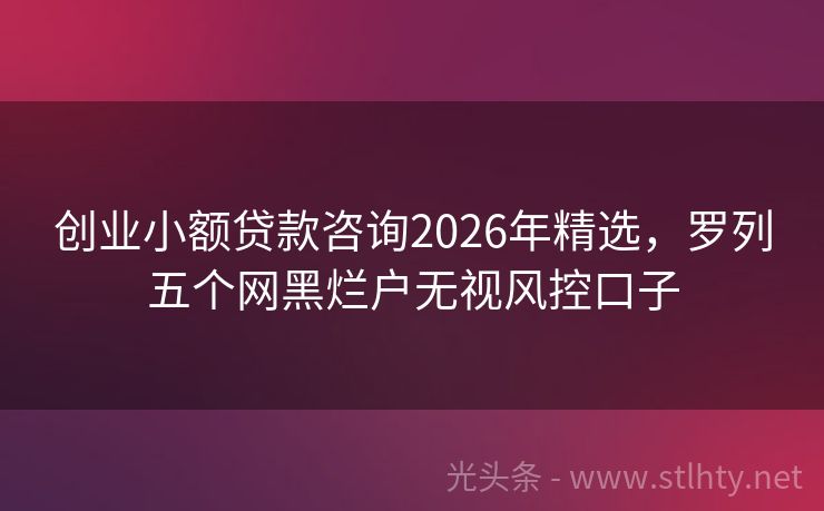 创业小额贷款咨询2026年精选，罗列五个网黑烂户无视风控口子