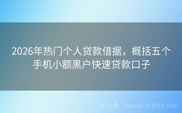 2026年热门个人贷款借据，概括五个手机小额黑户快速贷款口子