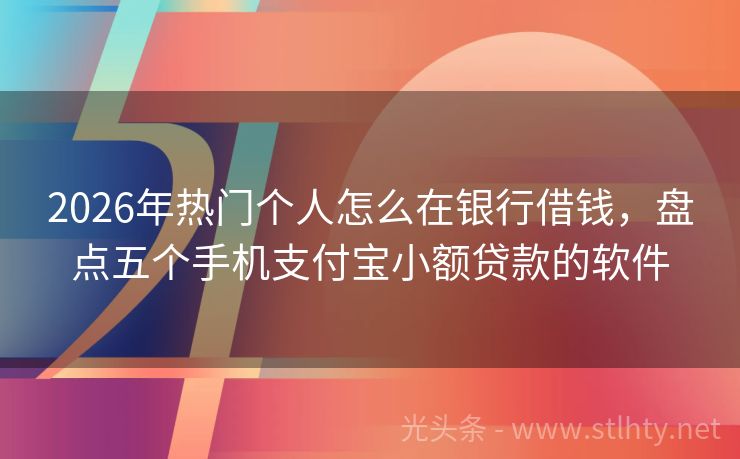 2026年热门个人怎么在银行借钱，盘点五个手机支付宝小额贷款的软件