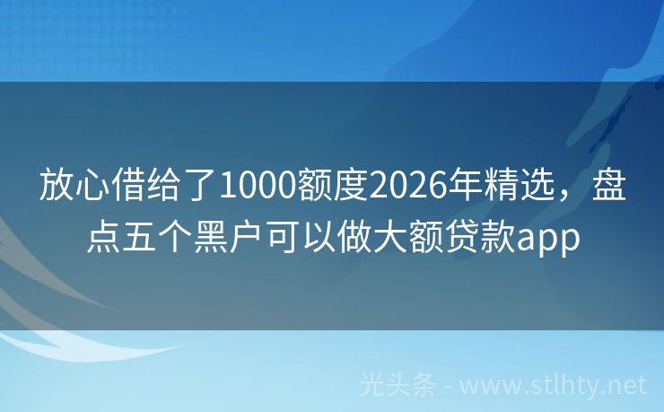 放心借给了1000额度2026年精选，盘点五个黑户可以做大额贷款app