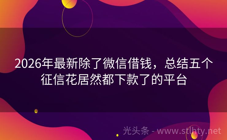 2026年最新除了微信借钱，总结五个征信花居然都下款了的平台