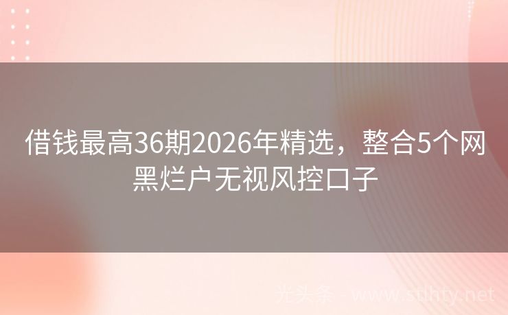 借钱最高36期2026年精选，整合5个网黑烂户无视风控口子