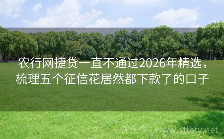 农行网捷贷一直不通过2026年精选，梳理五个征信花居然都下款了的口子
