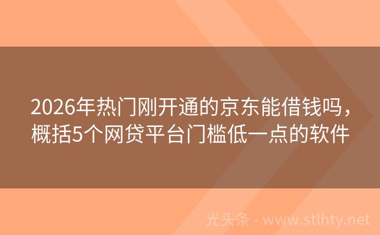 2026年热门刚开通的京东能借钱吗，概括5个网贷平台门槛低一点的软件