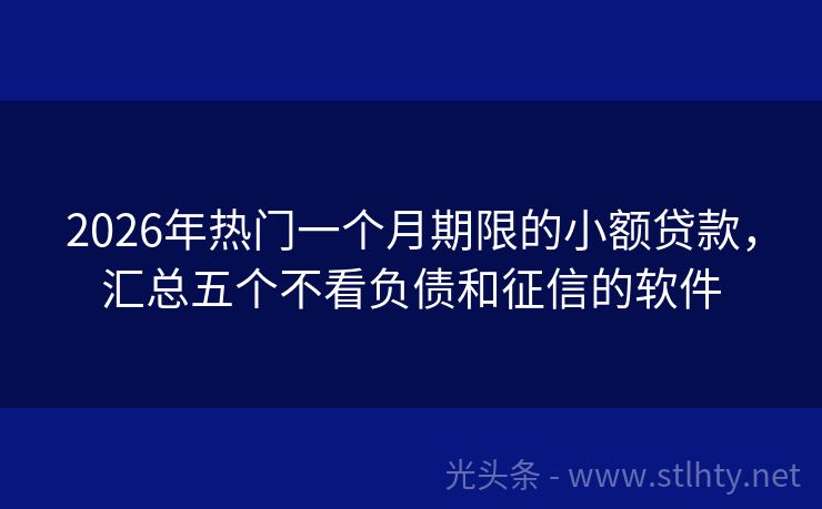 2026年热门一个月期限的小额贷款，汇总五个不看负债和征信的软件