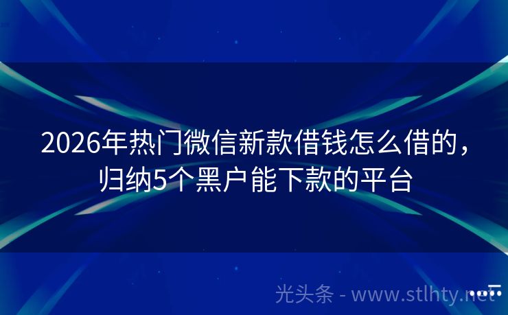 2026年热门微信新款借钱怎么借的，归纳5个黑户能下款的平台