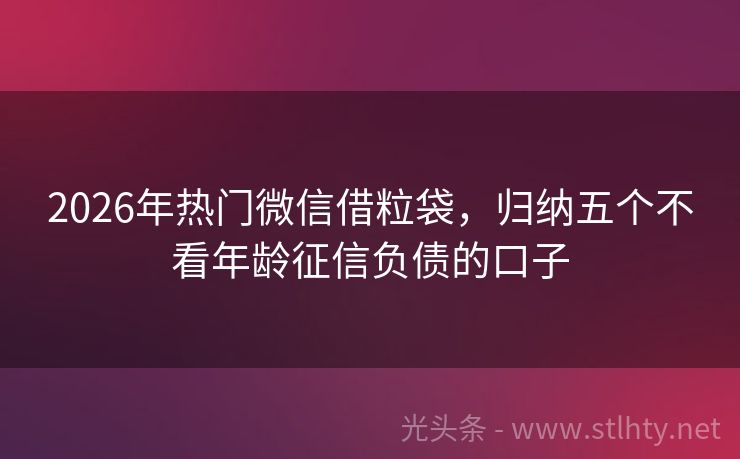 2026年热门微信借粒袋，归纳五个不看年龄征信负债的口子