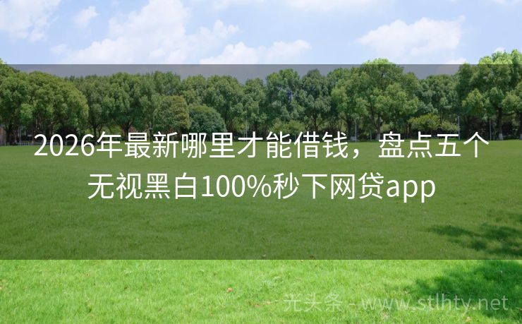 2026年最新哪里才能借钱，盘点五个无视黑白100%秒下网贷app
