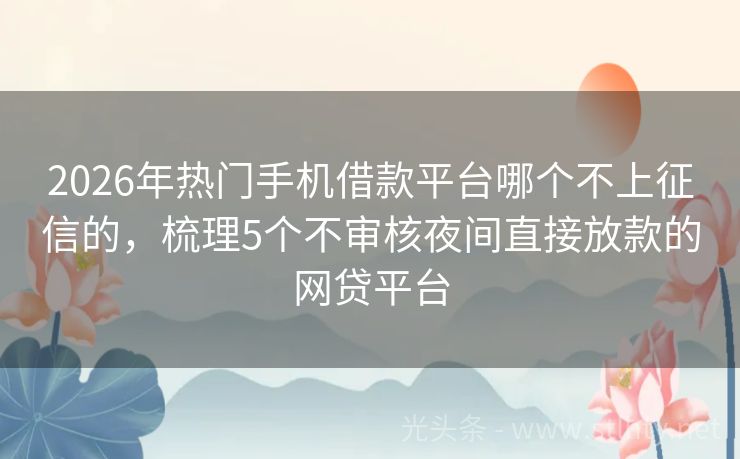 2026年热门手机借款平台哪个不上征信的，梳理5个不审核夜间直接放款的网贷平台