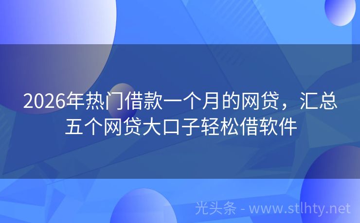 2026年热门借款一个月的网贷，汇总五个网贷大口子轻松借软件