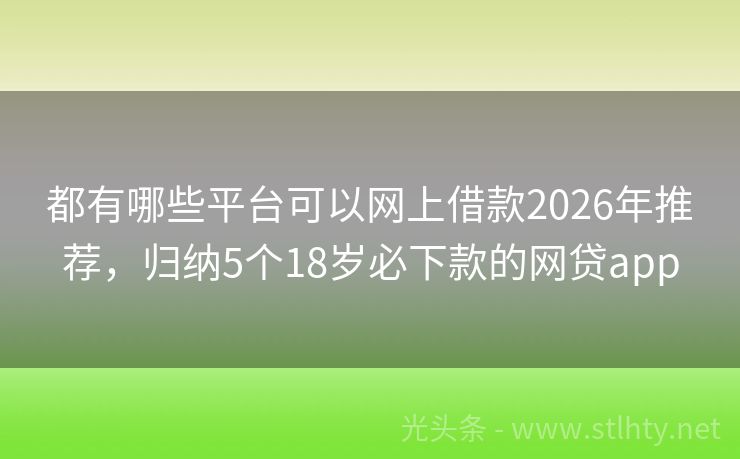 都有哪些平台可以网上借款2026年推荐，归纳5个18岁必下款的网贷app