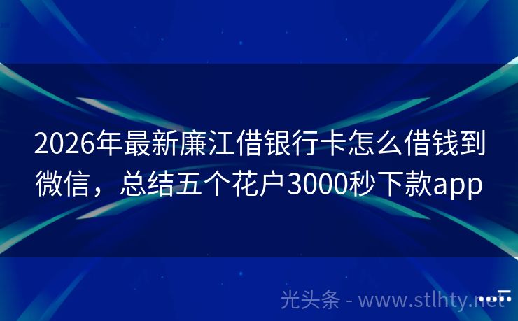 2026年最新廉江借银行卡怎么借钱到微信，总结五个花户3000秒下款app