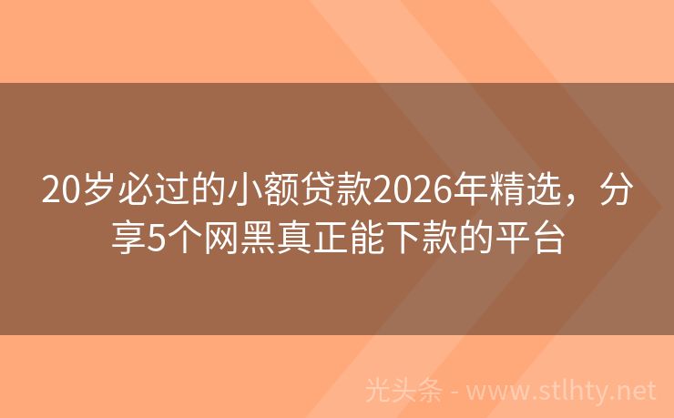 20岁必过的小额贷款2026年精选，分享5个网黑真正能下款的平台