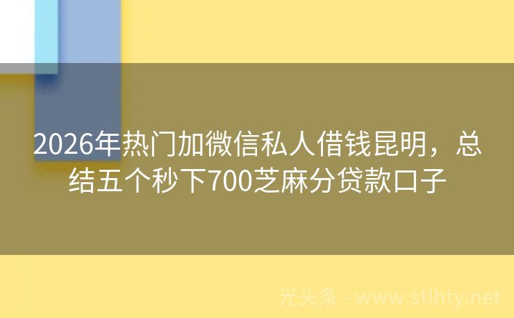 2026年热门加微信私人借钱昆明，总结五个秒下700芝麻分贷款口子
