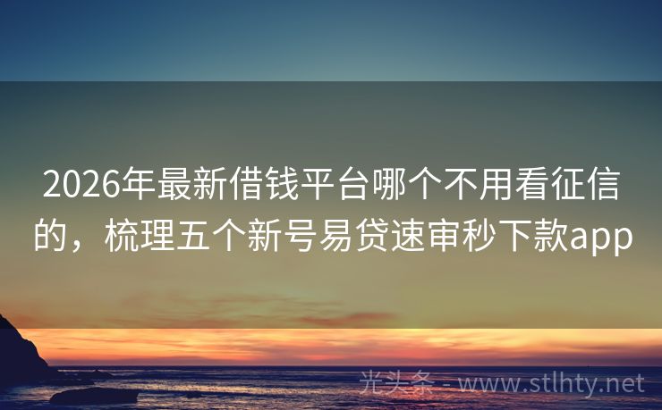 2026年最新借钱平台哪个不用看征信的，梳理五个新号易贷速审秒下款app