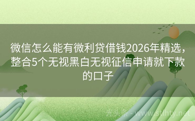 微信怎么能有微利贷借钱2026年精选，整合5个无视黑白无视征信申请就下款的口子