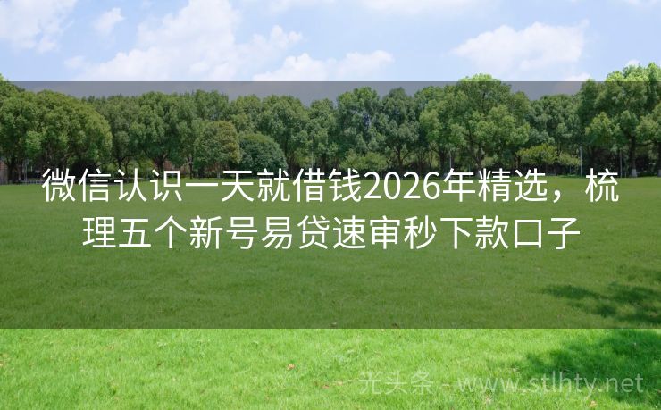 微信认识一天就借钱2026年精选，梳理五个新号易贷速审秒下款口子