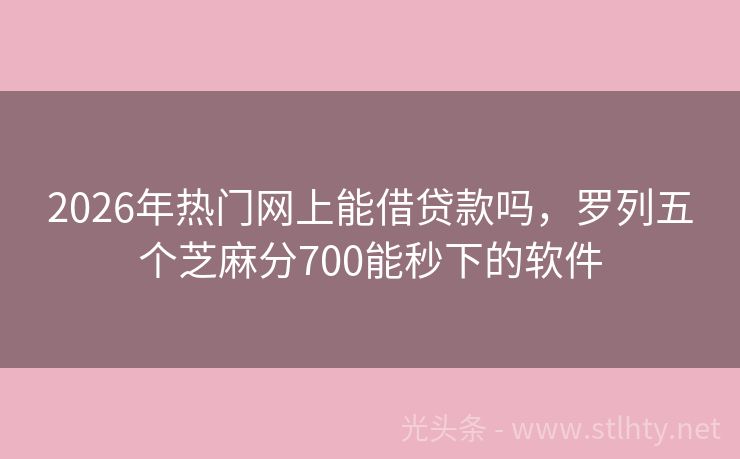 2026年热门网上能借贷款吗，罗列五个芝麻分700能秒下的软件