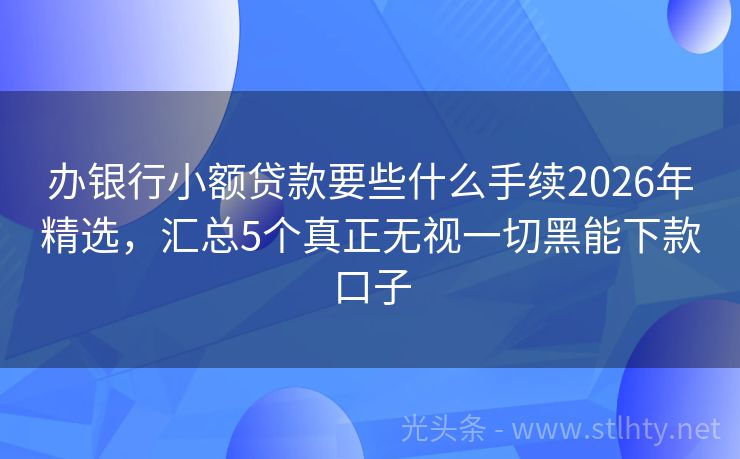 办银行小额贷款要些什么手续2026年精选，汇总5个真正无视一切黑能下款口子