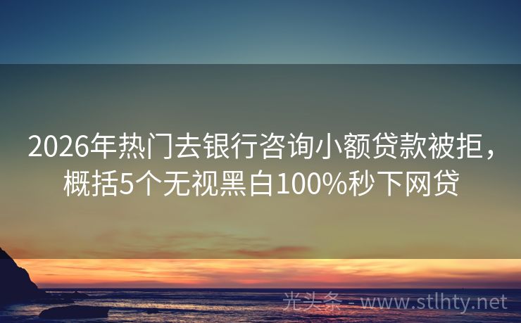 2026年热门去银行咨询小额贷款被拒，概括5个无视黑白100%秒下网贷