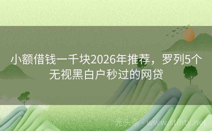 小额借钱一千块2026年推荐，罗列5个无视黑白户秒过的网贷