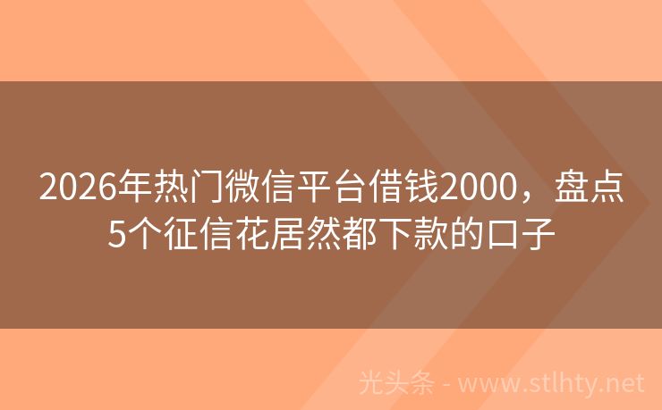 2026年热门微信平台借钱2000，盘点5个征信花居然都下款的口子