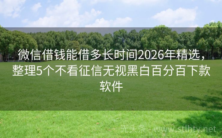 微信借钱能借多长时间2026年精选，整理5个不看征信无视黑白百分百下款软件