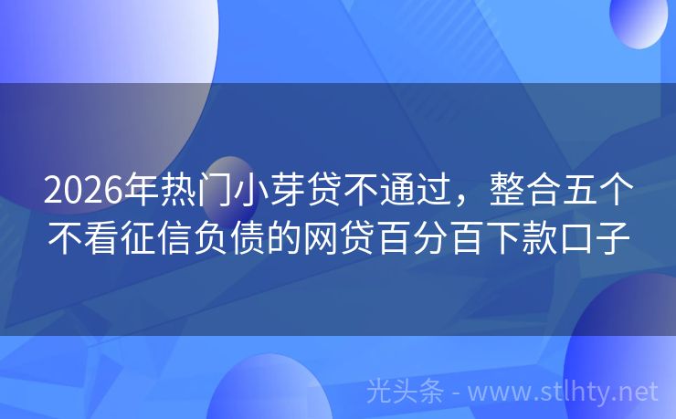 2026年热门小芽贷不通过，整合五个不看征信负债的网贷百分百下款口子