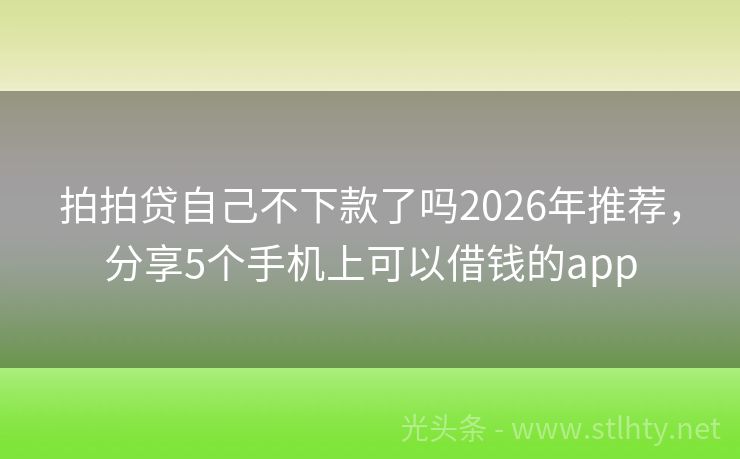 拍拍贷自己不下款了吗2026年推荐，分享5个手机上可以借钱的app