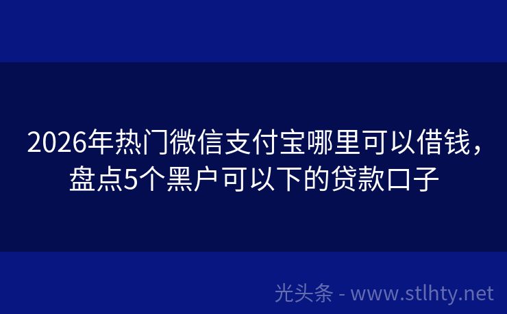 2026年热门微信支付宝哪里可以借钱，盘点5个黑户可以下的贷款口子