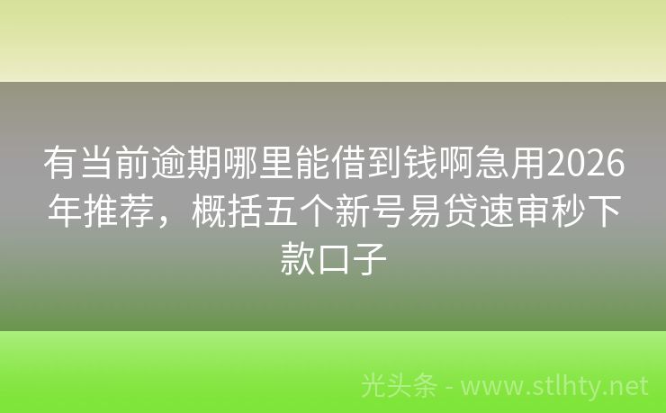 有当前逾期哪里能借到钱啊急用2026年推荐，概括五个新号易贷速审秒下款口子