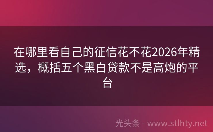 在哪里看自己的征信花不花2026年精选，概括五个黑白贷款不是高炮的平台