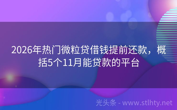 2026年热门微粒贷借钱提前还款，概括5个11月能贷款的平台