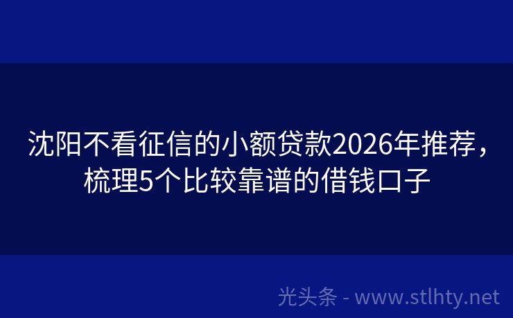 沈阳不看征信的小额贷款2026年推荐，梳理5个比较靠谱的借钱口子