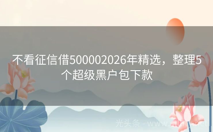 不看征信借500002026年精选，整理5个超级黑户包下款
