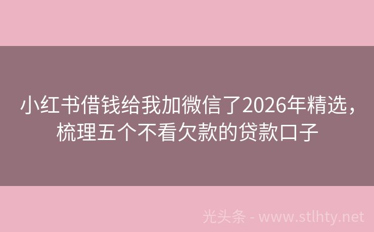 小红书借钱给我加微信了2026年精选，梳理五个不看欠款的贷款口子