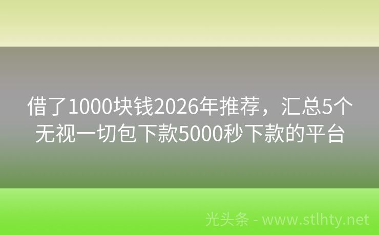 借了1000块钱2026年推荐，汇总5个无视一切包下款5000秒下款的平台