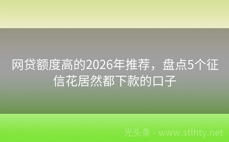 网贷额度高的2026年推荐，盘点5个征信花居然都下款的口子