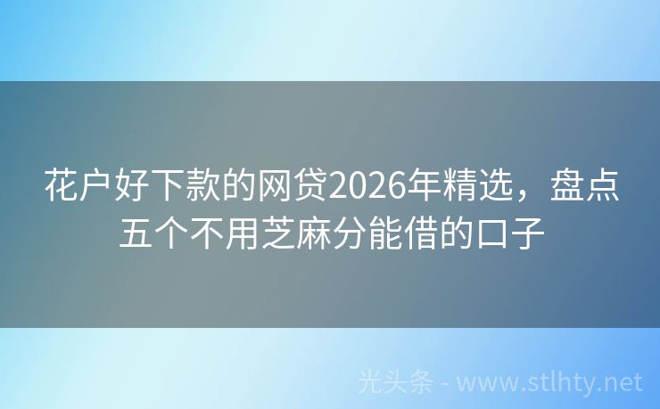 花户好下款的网贷2026年精选，盘点五个不用芝麻分能借的口子