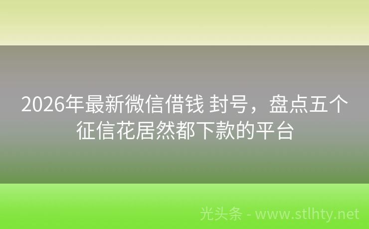 2026年最新微信借钱 封号，盘点五个征信花居然都下款的平台