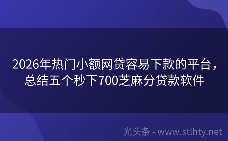 2026年热门小额网贷容易下款的平台，总结五个秒下700芝麻分贷款软件