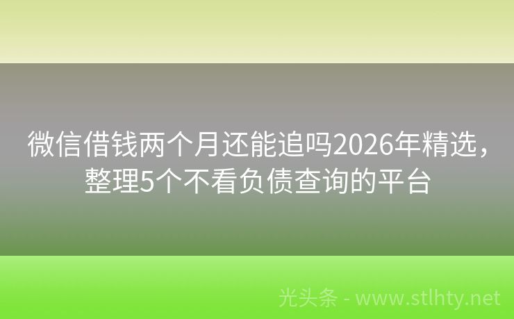 微信借钱两个月还能追吗2026年精选，整理5个不看负债查询的平台