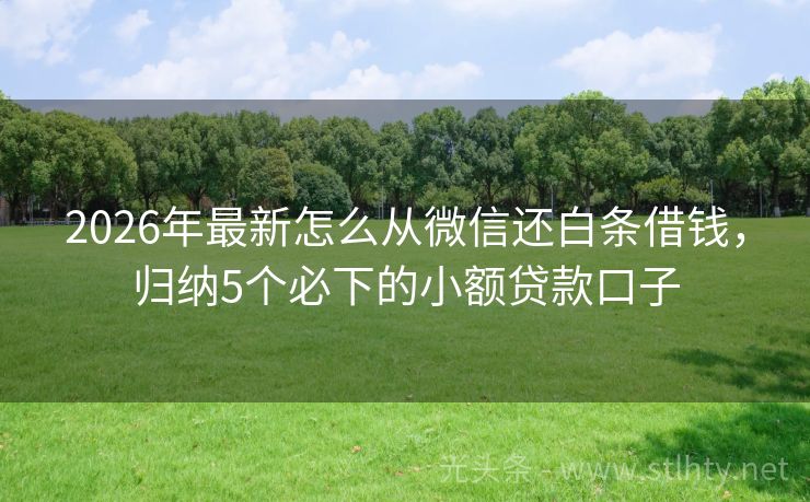2026年最新怎么从微信还白条借钱，归纳5个必下的小额贷款口子