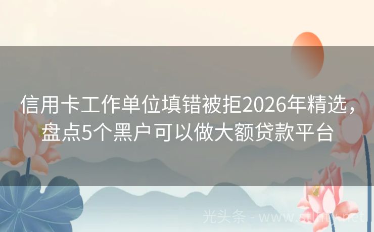 信用卡工作单位填错被拒2026年精选，盘点5个黑户可以做大额贷款平台