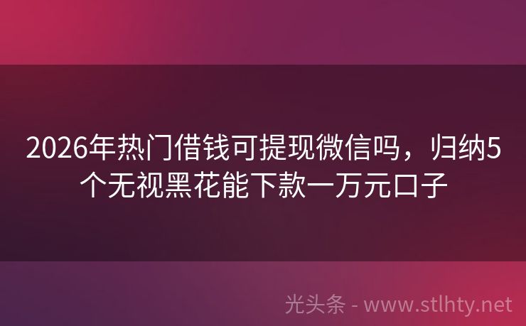 2026年热门借钱可提现微信吗，归纳5个无视黑花能下款一万元口子