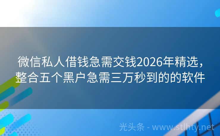 微信私人借钱急需交钱2026年精选，整合五个黑户急需三万秒到的的软件
