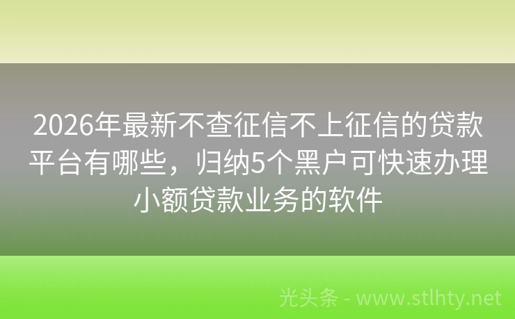 2026年最新不查征信不上征信的贷款平台有哪些，归纳5个黑户可快速办理小额贷款业务的软件