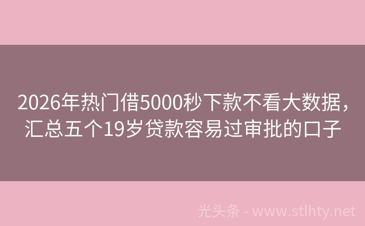 2026年热门借5000秒下款不看大数据，汇总五个19岁贷款容易过审批的口子