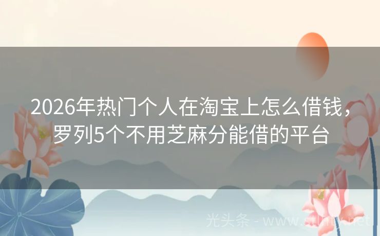 2026年热门个人在淘宝上怎么借钱，罗列5个不用芝麻分能借的平台